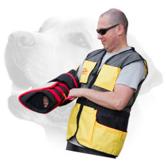 Labrador training sleeve with advanced     bite surface