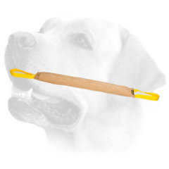 Labrador tug for bite skills     improvement