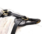 dog harness handle
