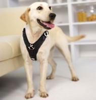 Labrador Exclusive Luxury Handcrafted Padded Leather Dog Harness Labrador Exclusive Luxury Handcrafted Padded Leather Dog Harness
