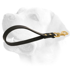 Walking Leather Dog Leash For Labrador