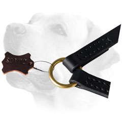O-Ring On Leather Dog Leash For Labrador 