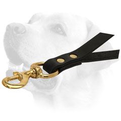 Brass Snap Hook On Leather Dog Leash For Labrador 