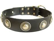 Leather dog collar with silver conchos Leather dog collar with silver conchos