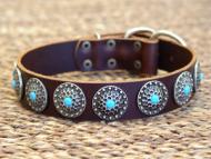 labrador dog collar