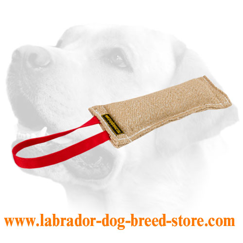  Labrador training tug for puppies