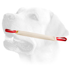 Labrador professional training tug with two handles