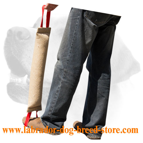 Jute Labrador tug with stitched handles