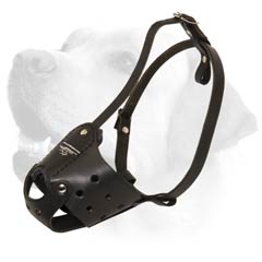 Labrador muzzle best sale