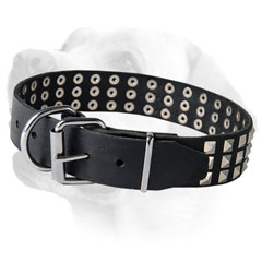 Nickel Plated Buckle On Leather Labrador Collar for Walking 