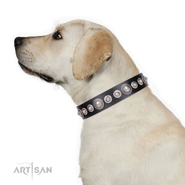 Impressive studded genuine leather dog collar for handy use