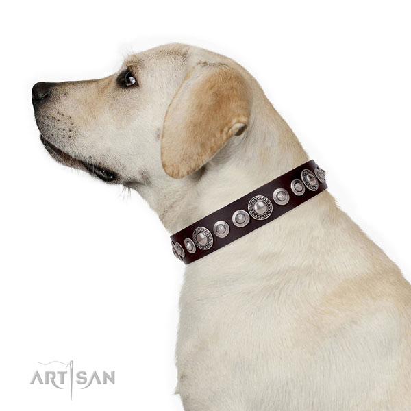 Fashionable adorned leather dog collar for everyday use