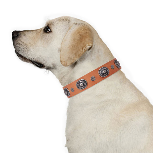 Leather dog collar with strong buckle and D-ring for handy use