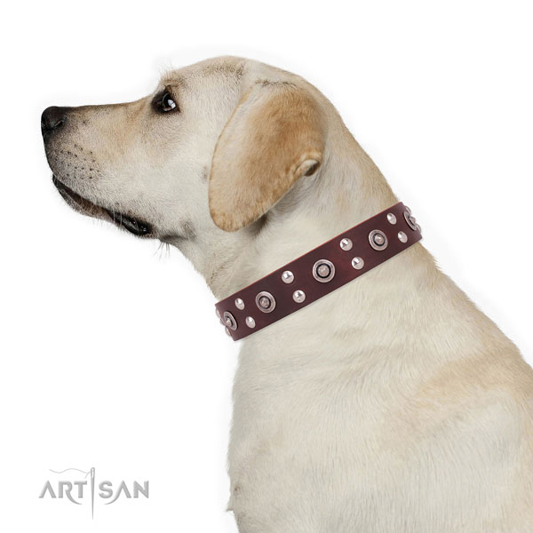 Comfy wearing embellished dog collar made of top rate natural leather