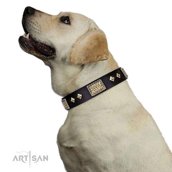 Best quality basic training dog collar of leather