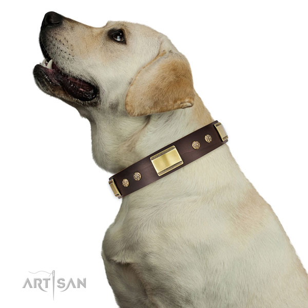 Handy use dog collar of genuine leather with top notch studs