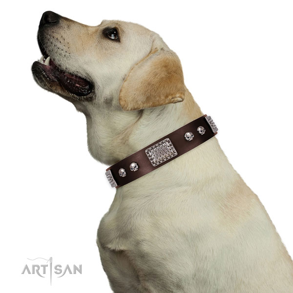 Stylish full grain genuine leather collar for your lovely dog