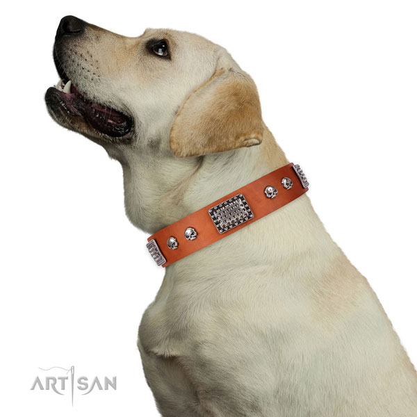 Comfortable natural genuine leather collar for your impressive canine
