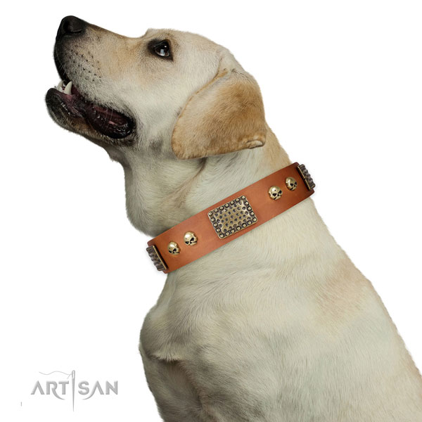 Rust-proof fittings on leather dog collar for comfortable wearing