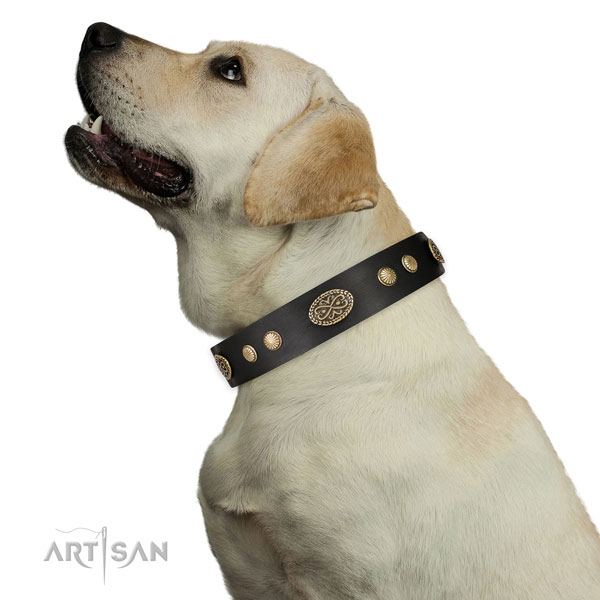 Corrosion resistant buckle on leather dog collar for handy use