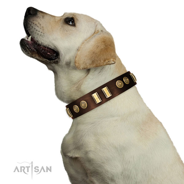 Reliable hardware on full grain natural leather dog collar for daily walking