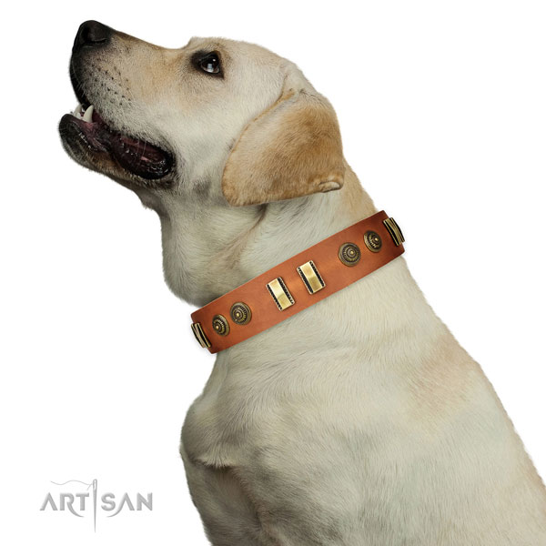Durable D-ring on full grain leather dog collar for handy use