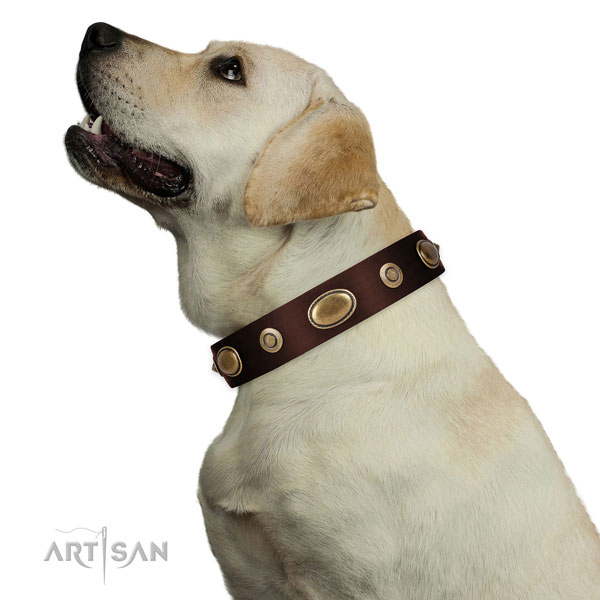 Easy wearing dog collar of natural leather with amazing adornments