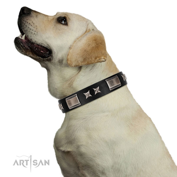 Daily use top rate full grain genuine leather dog collar with decorations