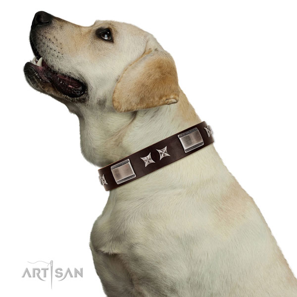 Unique collar of genuine leather for your attractive doggie