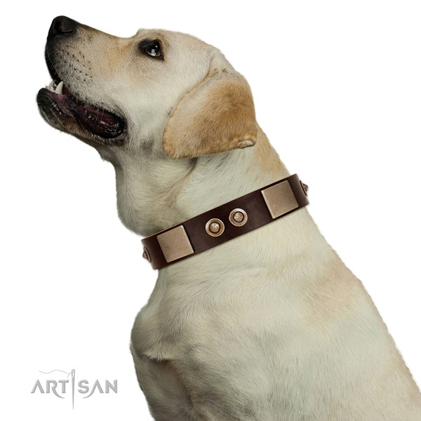 Corrosion resistant buckle on leather dog collar for handy use