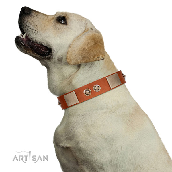 Corrosion proof traditional buckle on genuine leather dog collar for daily use