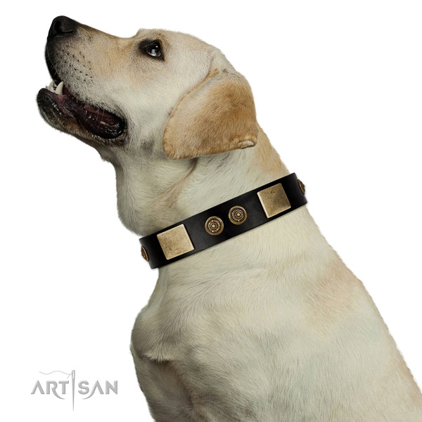 Handy use dog collar of genuine leather with remarkable adornments