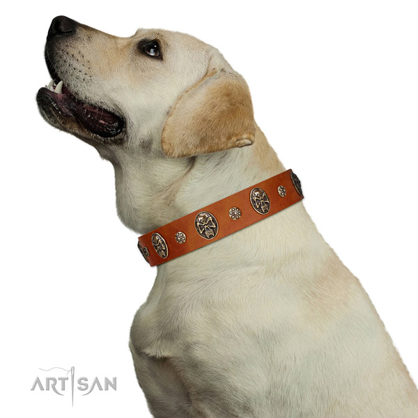 Comfortable wearing dog collar of natural leather with fashionable studs