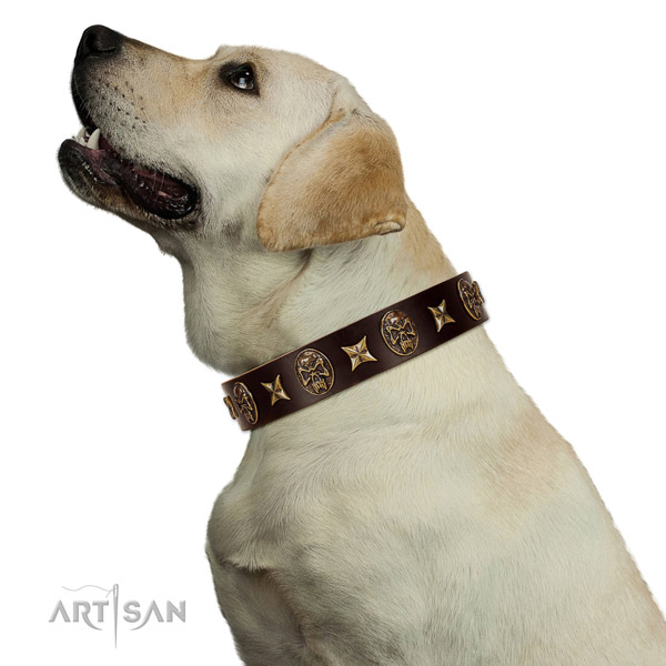 Fashionable full grain natural leather dog collar with embellishments