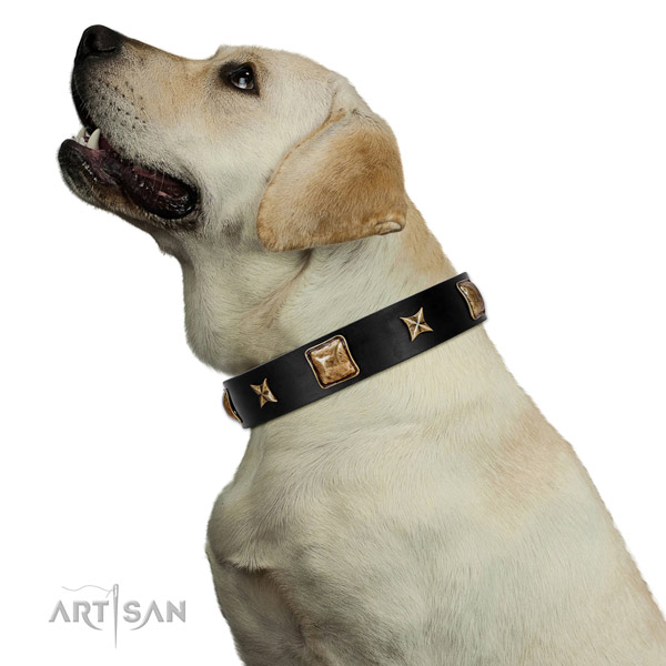 Unique dog collar crafted for your beautiful dog
