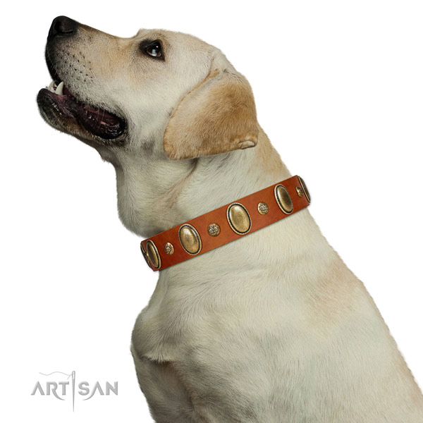 Stylish full grain leather dog collar with rust-proof D-ring