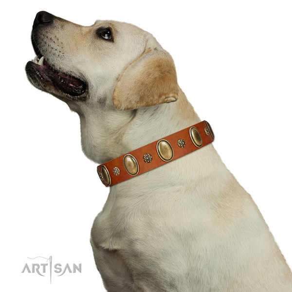 Handy use top notch genuine leather dog collar with studs