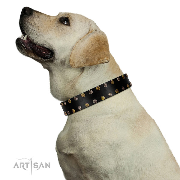 Designer natural leather dog collar with rust resistant adornments
