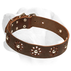 Leather Labrador Collar Decorated with studs