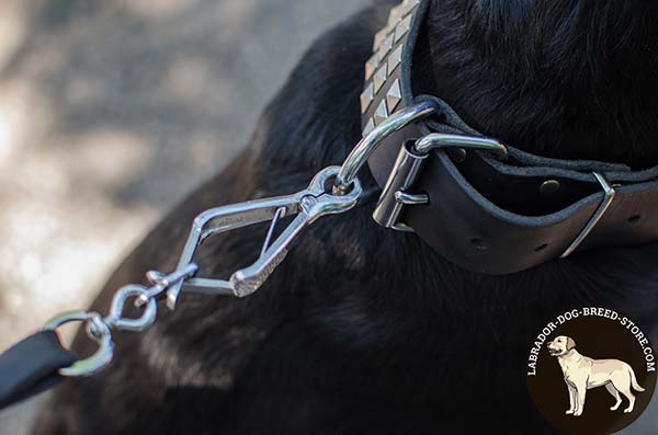 Durable Studded Leather Labrador Collar with Nickel Plated Hardware