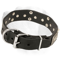 Awesome Leather Labrador Collar Equipped with Reliable Buckle