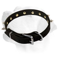  Walking Leather Labrador Collar with Nickel Buckle 