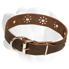 Firm Leather Labrador Collar Equipped with studs of flowers