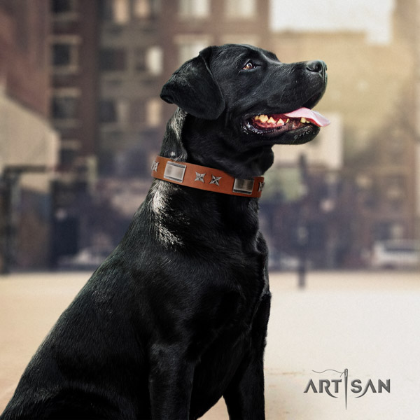 Labrador stylish design studded full grain genuine leather dog collar for handy use