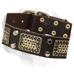 Durable leather decorated collar for Labrador