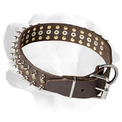 Leather Labrador collar of high quality     material