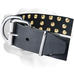 Durable collar for Labradors incrusted with nickel spikes