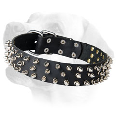 Durable leather Labrador collar inlaid with spikes