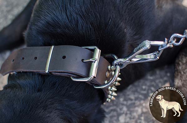 Cool Spiked and Studded Leather Labrador Collar Equipped with Strong Fittings