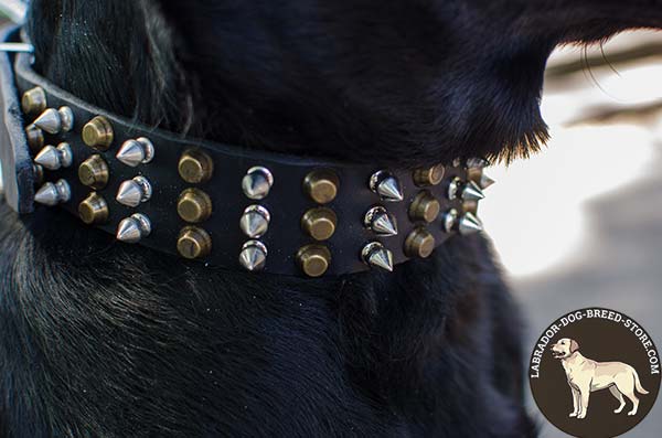 Spiked and Studded Leather Labrador Collar for Walking